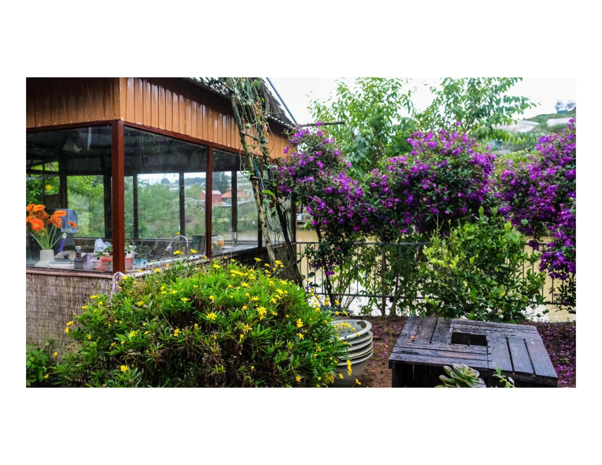 Nha Ben Ho - Da Lat Homestay Luaran gambar