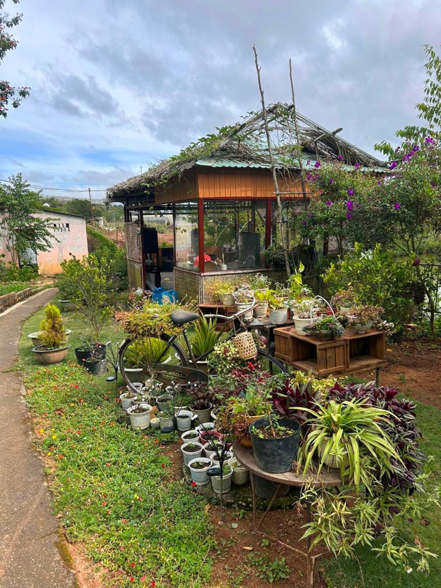 Nha Ben Ho - Da Lat Homestay Luaran gambar