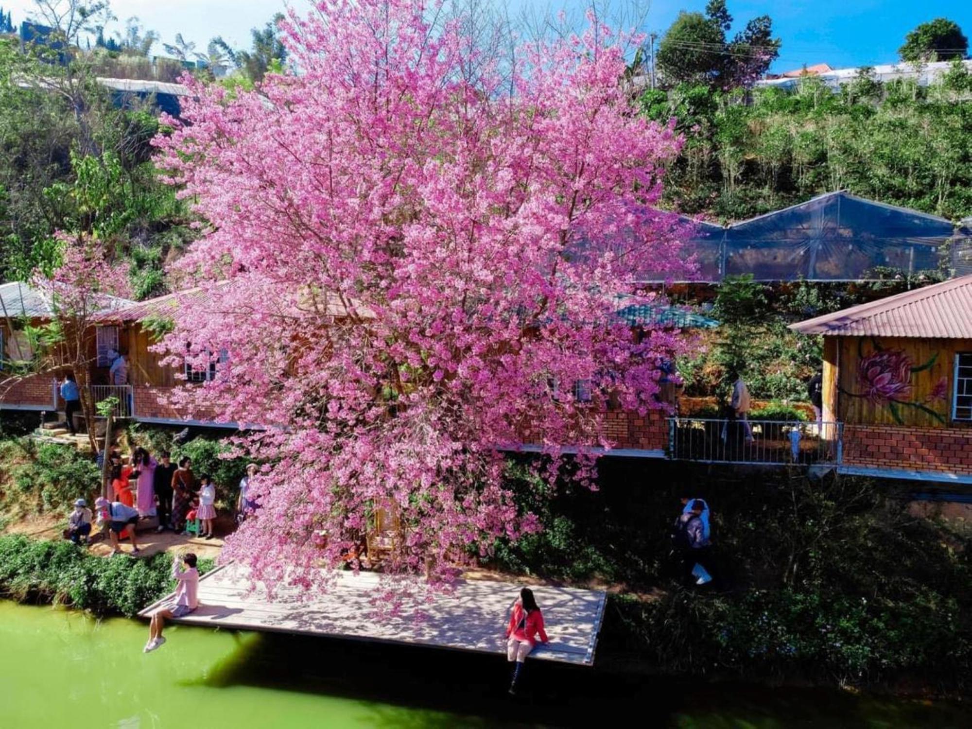 Nha Ben Ho - Da Lat Homestay Luaran gambar