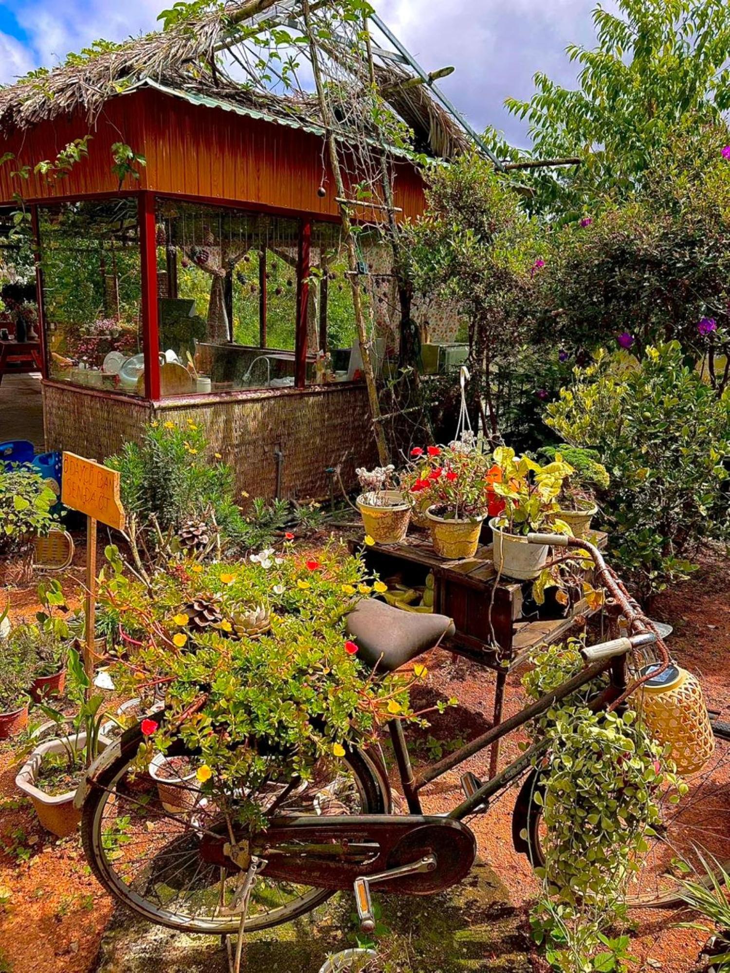 Nha Ben Ho - Da Lat Homestay Luaran gambar