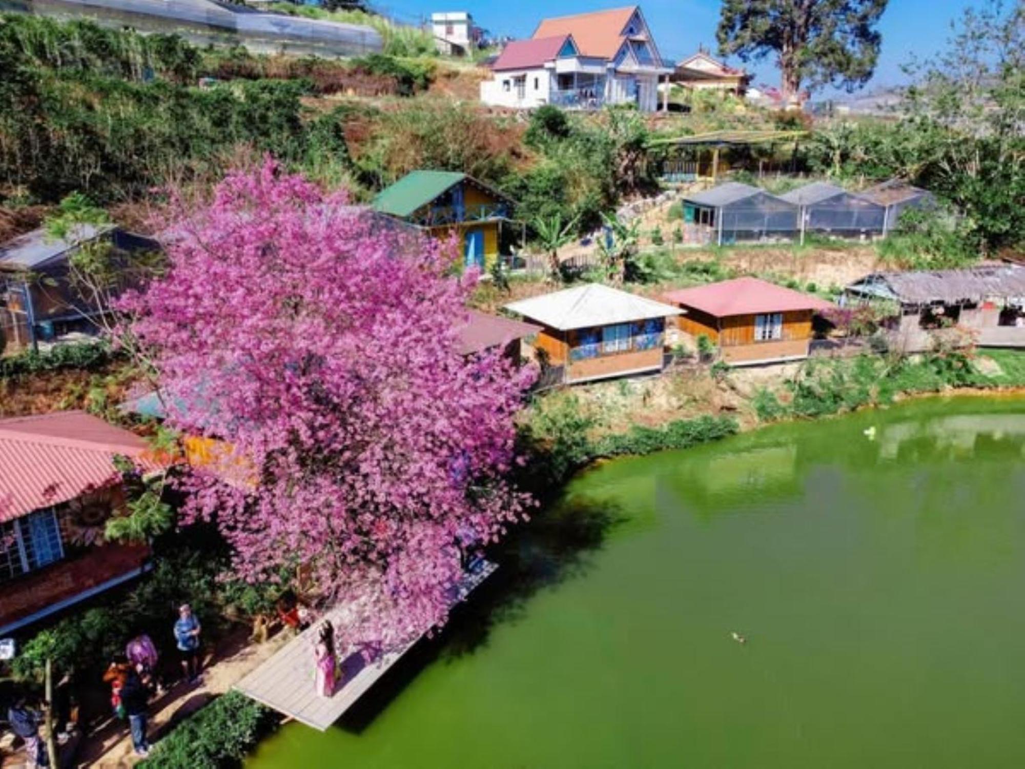 Nha Ben Ho - Da Lat Homestay Luaran gambar