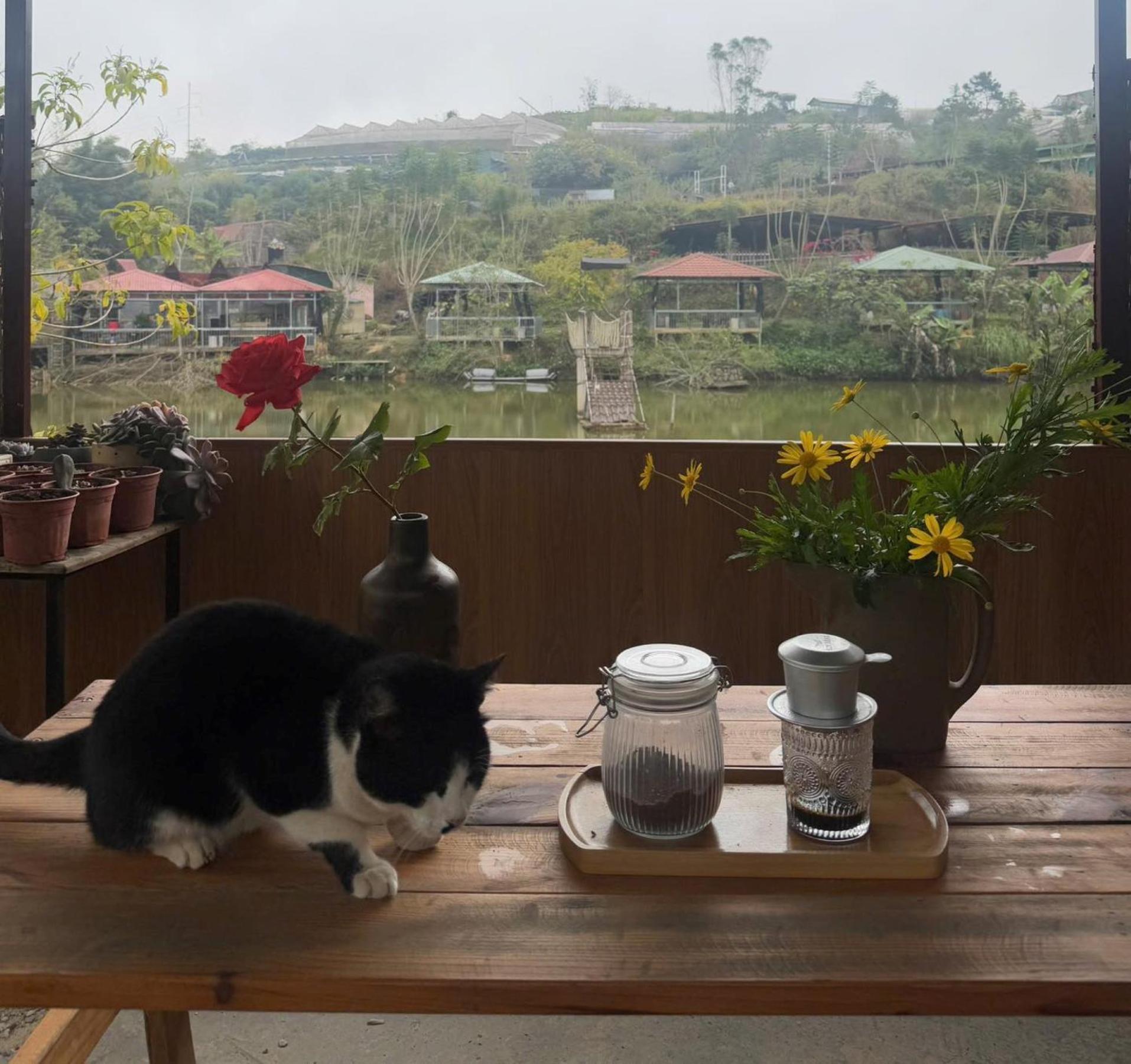 Nha Ben Ho - Da Lat Homestay Luaran gambar