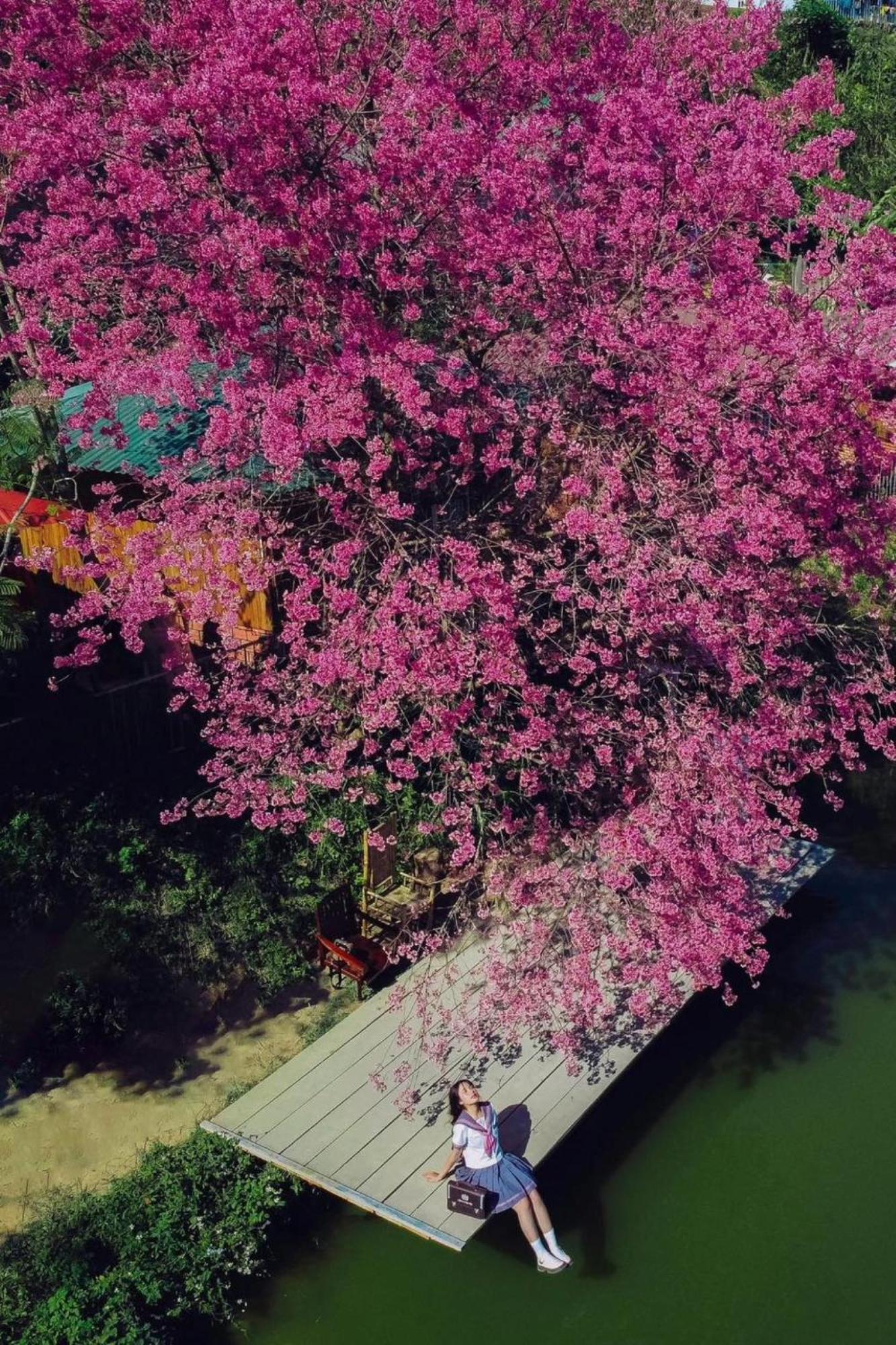 Nha Ben Ho - Da Lat Homestay Luaran gambar