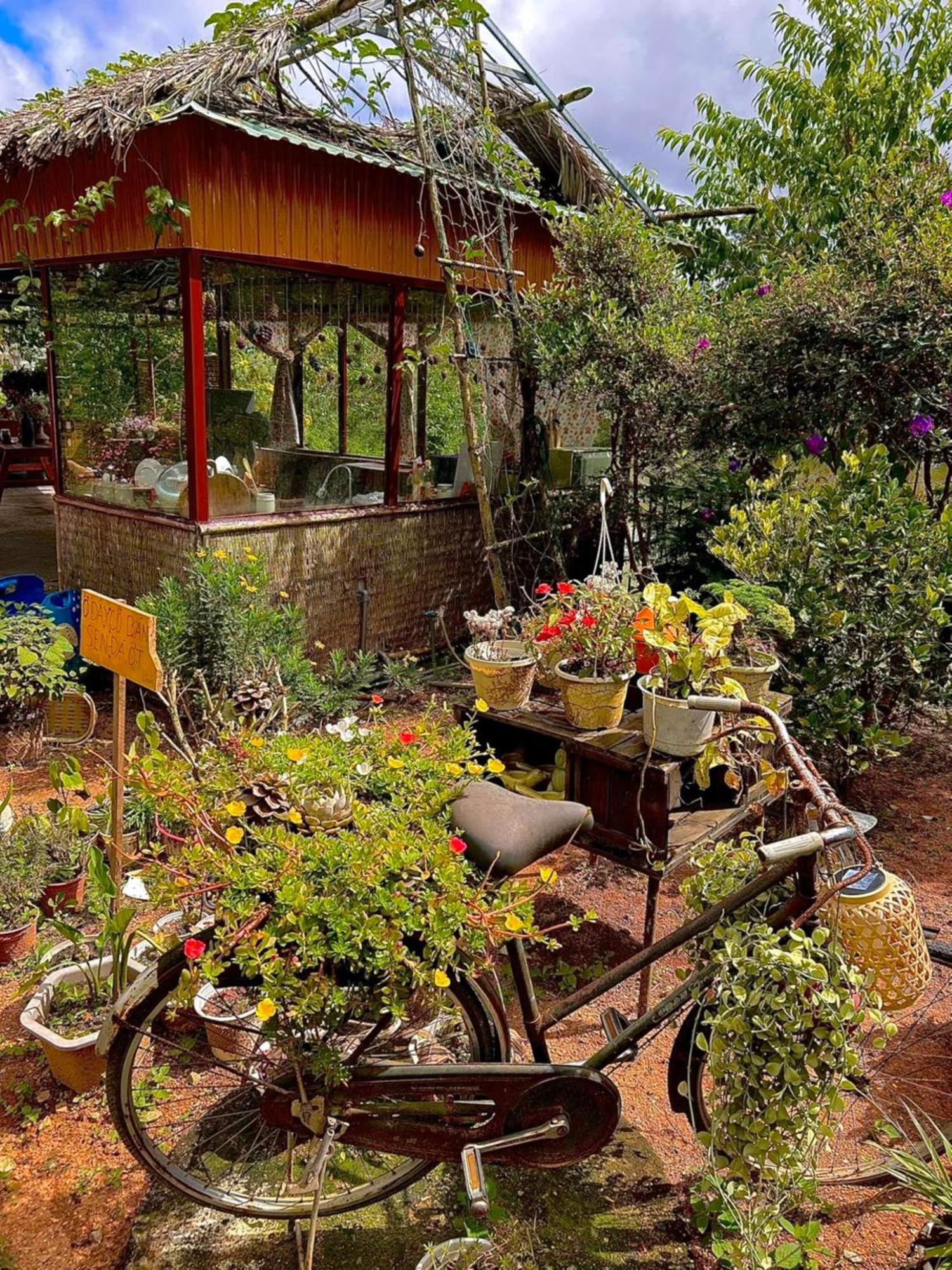 Nha Ben Ho - Da Lat Homestay Luaran gambar